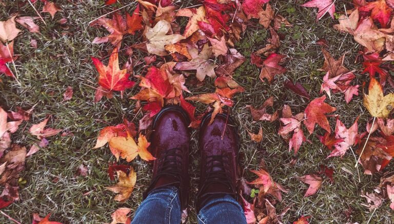 Tutti pazzi per il foliage